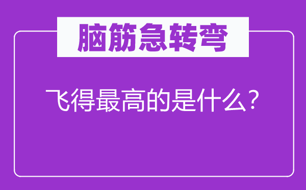 脑筋急转弯：飞得最高的是什么？