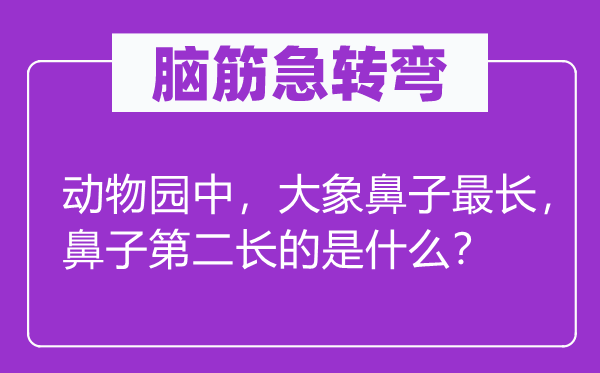 脑筋急转弯：动物园中，大象鼻子最长，鼻子第二长的是什么？