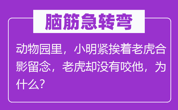 脑筋急转弯：动物园里，小明紧挨着老虎合影留念，老虎却没有咬他，为什么？