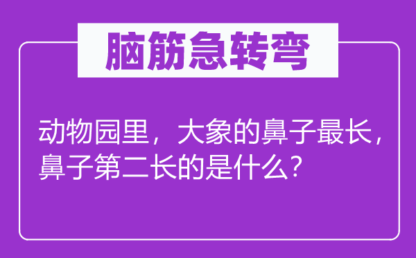 脑筋急转弯：动物园里，大象的鼻子最长，鼻子第二长的是什么？