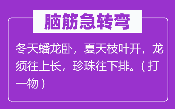 脑筋急转弯：冬天蟠龙卧，夏天枝叶开，龙须往上长，珍珠往下排.(打一物)