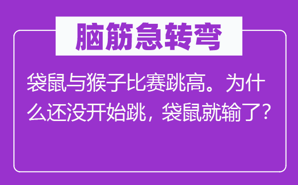 脑筋急转弯：袋鼠与猴子比赛跳高。为什么还没开始跳，袋鼠就输了？