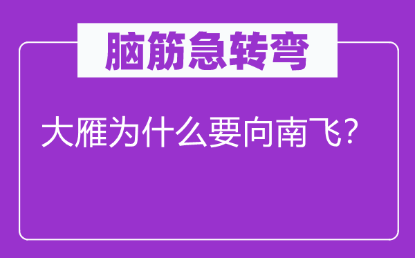 脑筋急转弯：大雁为什么要向南飞？