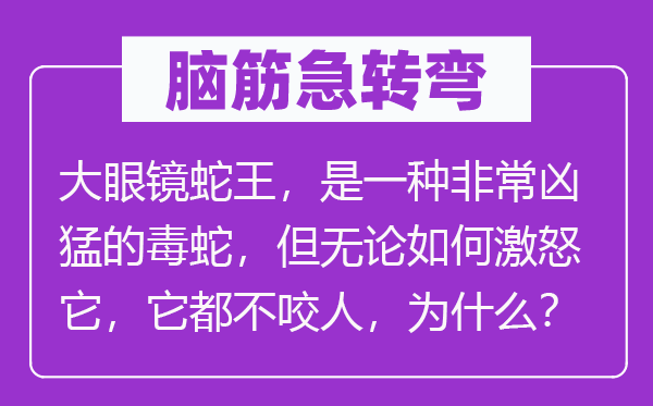 脑筋急转弯：大眼镜蛇王，是一种非常凶猛的毒蛇，但无论如何激怒它，它都不咬人，为什么？