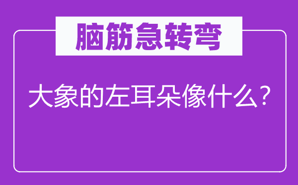 脑筋急转弯：大象的左耳朵像什么？