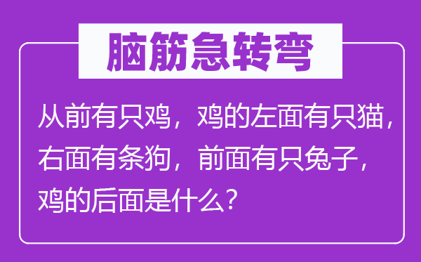 脑筋急转弯：从前有只鸡，鸡的左面有只猫，右面有条狗，前面有只兔子，鸡的后面是什么？