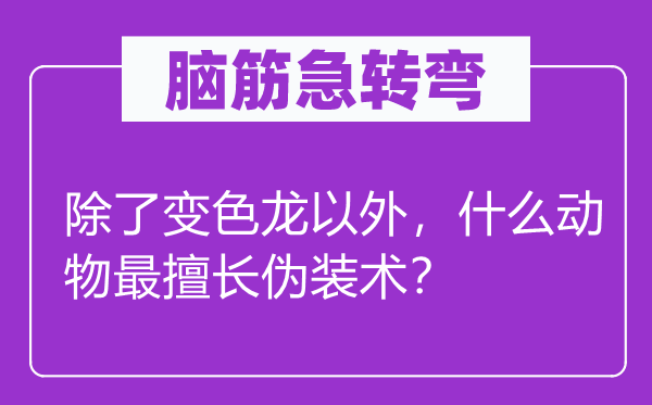 脑筋急转弯：除了变色龙以外，什么动物最擅长伪装术？