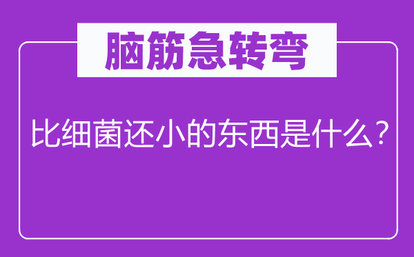 脑筋急转弯：比细菌还小的东西是什么？