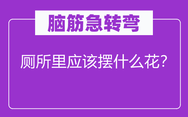 脑筋急转弯：厕所里应该摆什么花？