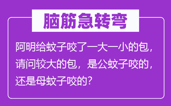 脑筋急转弯：阿明给蚊子咬了一大一小的包，请问较大的包，是公蚊子咬的，还是母蚊子咬的？