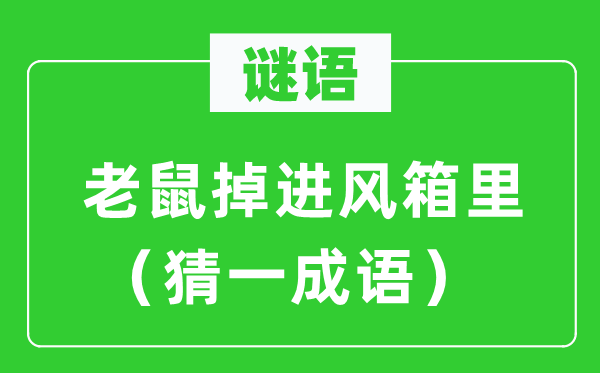 谜语：老鼠掉进风箱里（猜一成语）