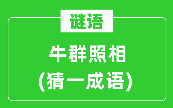 谜语：牛群照相　(猜一成语)