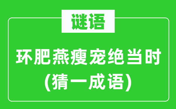 谜语：环肥燕瘦宠绝当时(猜一成语)