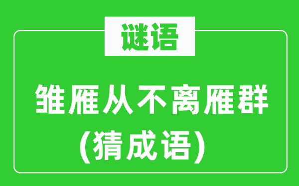 谜语：雏雁从不离雁群(猜成语)