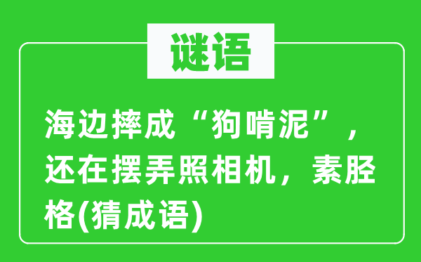 谜语：海边摔成“狗啃泥”，还在摆弄照相机，素胫格(猜成语)