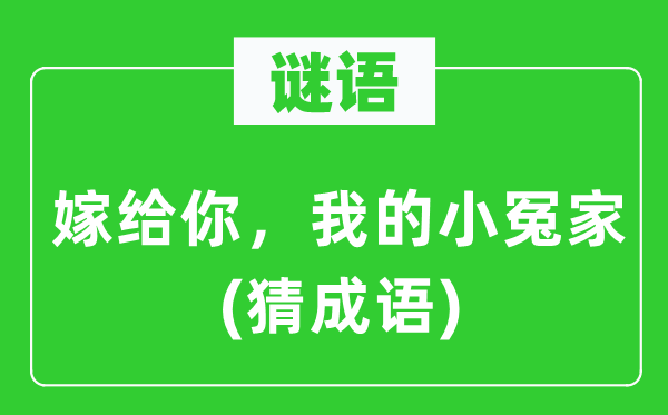 谜语：嫁给你，我的小冤家(猜成语)