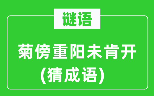 谜语：菊傍重阳未肯开(猜成语)