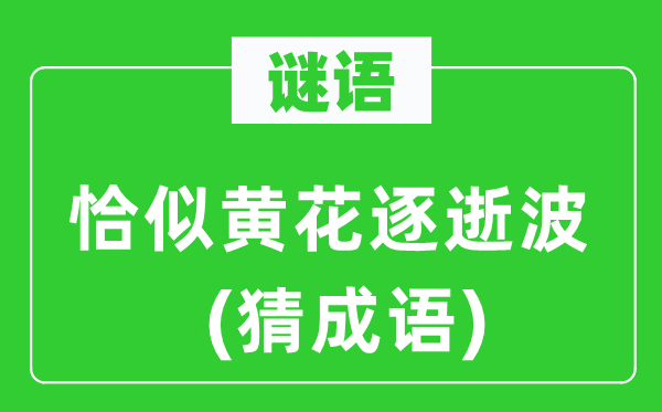 谜语：恰似黄花逐逝波(猜成语)