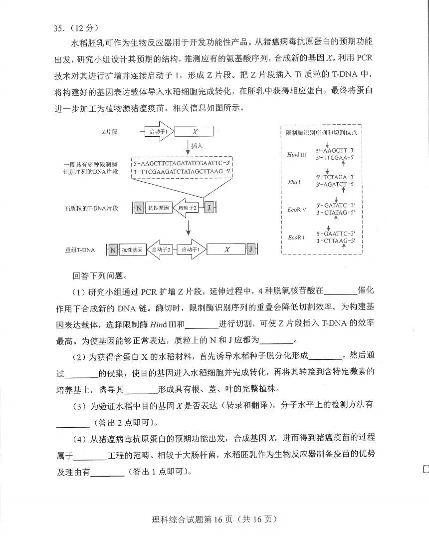 新高考2024九省联考河南理综试卷及答案解析