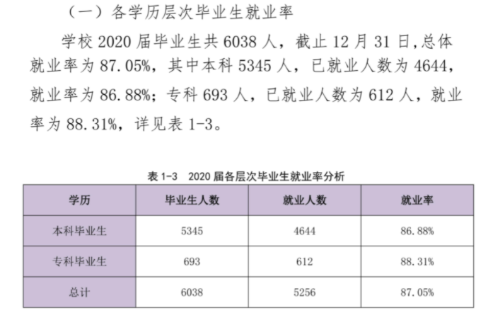 重庆城市科技学院就业率及就业前景怎么样,好就业吗？