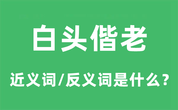 白头偕老的近义词和反义词是什么,白头偕老是什么意思