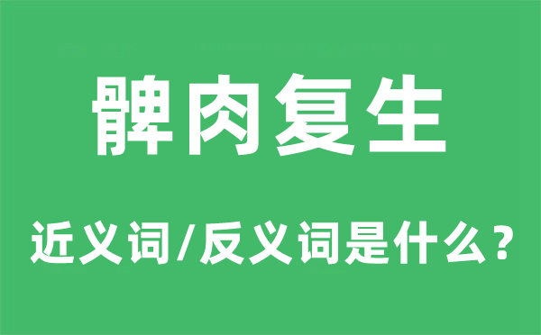 髀肉复生的近义词和反义词是什么,髀肉复生是什么意思