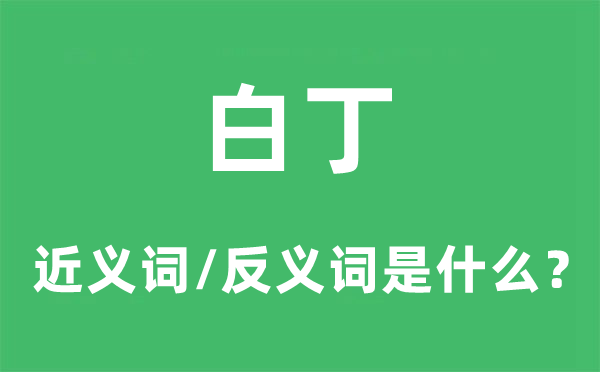 白丁的近义词和反义词是什么,白丁是什么意思