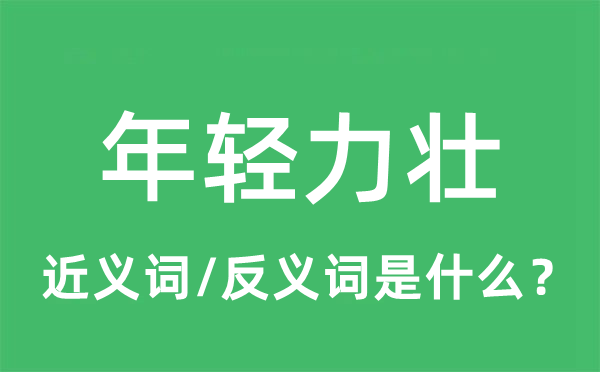 年轻力壮的近义词和反义词是什么,年轻力壮是什么意思