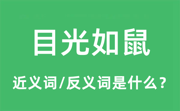 目光如鼠的近义词和反义词是什么,目光如鼠是什么意思