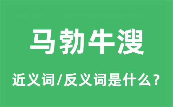 马勃牛溲的近义词和反义词是什么,马勃牛溲是什么意思