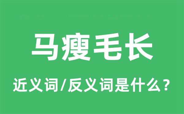 马瘦毛长的近义词和反义词是什么,马瘦毛长是什么意思