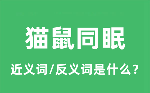 猫鼠同眠的近义词和反义词是什么,猫鼠同眠是什么意思