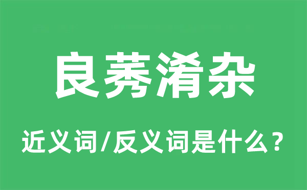 良莠淆杂的近义词和反义词是什么,良莠淆杂是什么意思