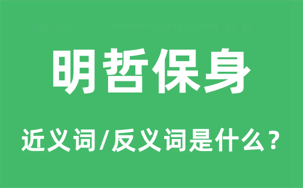 明哲保身的近义词和反义词是什么,明哲保身是什么意思