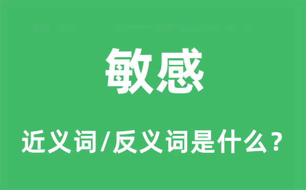 敏感的近义词和反义词是什么,敏感是什么意思