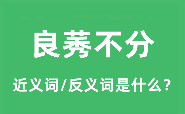 良莠不分的近义词和反义词是什么,良莠不分是什么意思