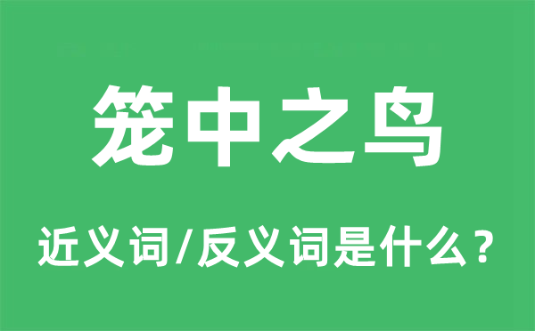 笼中之鸟的近义词和反义词是什么,笼中之鸟是什么意思