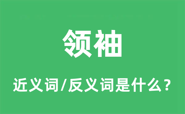 领袖的近义词和反义词是什么,领袖是什么意思