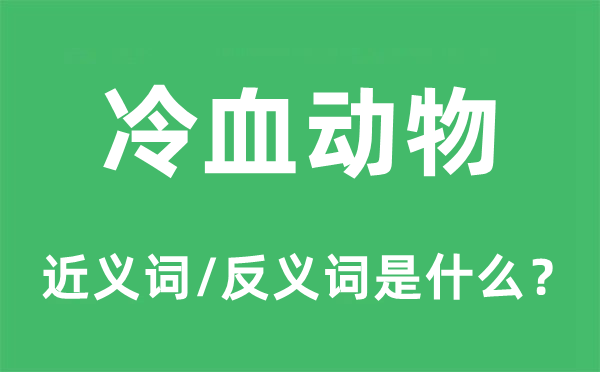 冷血动物的近义词和反义词是什么,冷血动物是什么意思