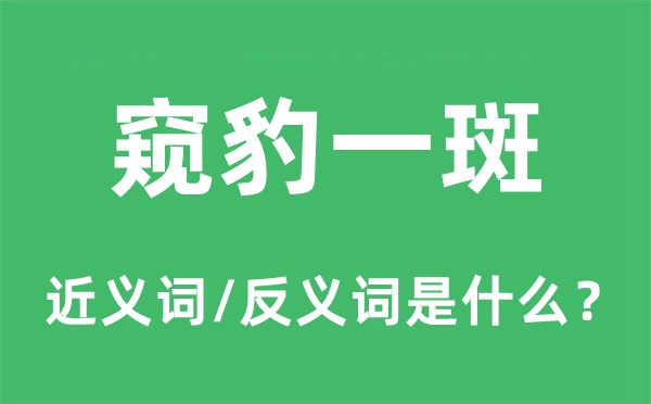 窥豹一斑的近义词和反义词是什么,窥豹一斑是什么意思