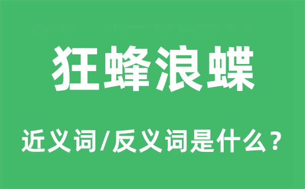 狂蜂浪蝶的近义词和反义词是什么,狂蜂浪蝶是什么意思