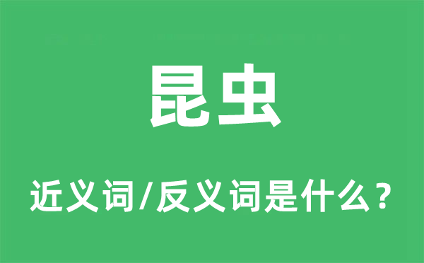 昆虫的近义词和反义词是什么,昆虫是什么意思