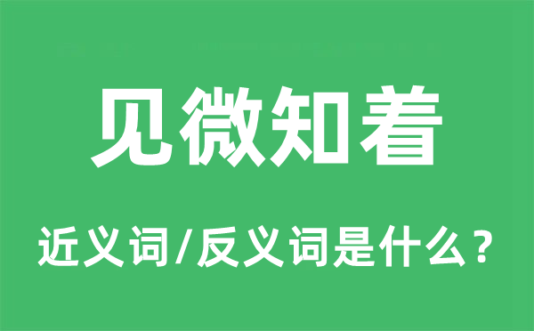 见微知着的近义词和反义词是什么,见微知着是什么意思