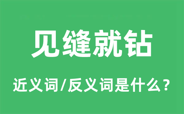 见缝就钻的近义词和反义词是什么,见缝就钻是什么意思