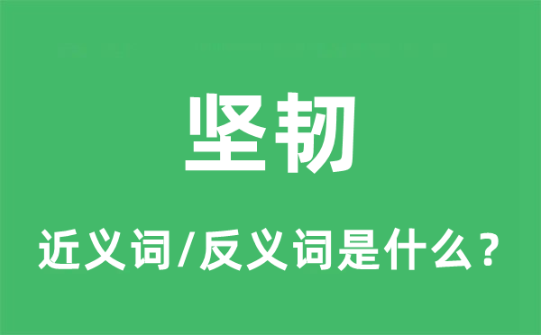 坚韧的近义词和反义词是什么,坚韧是什么意思