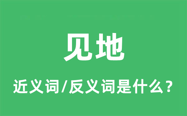 见地的近义词和反义词是什么,见地是什么意思