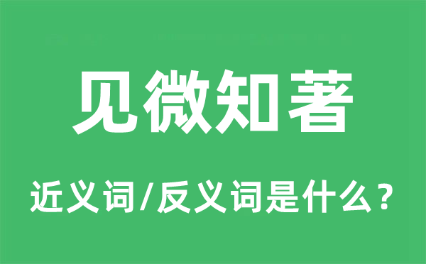 见微知著的近义词和反义词是什么,见微知著是什么意思