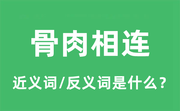 骨肉相连的近义词和反义词是什么,骨肉相连是什么意思