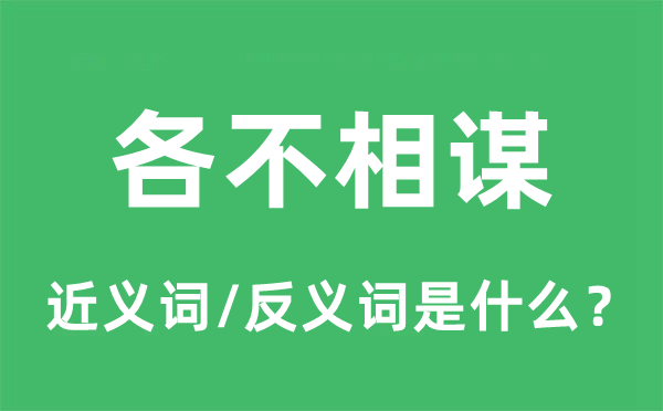 各不相谋的近义词和反义词是什么,各不相谋是什么意思