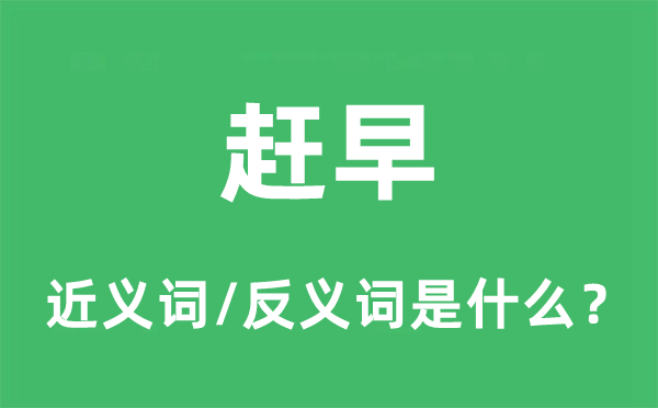 赶早的近义词和反义词是什么,赶早是什么意思